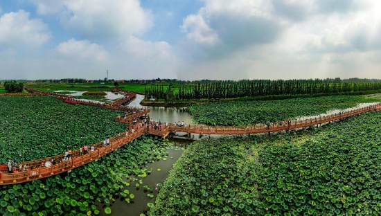 （菏泽市曹县黄河故道湿地风景区。图片来源：菏泽市摄影家协会）